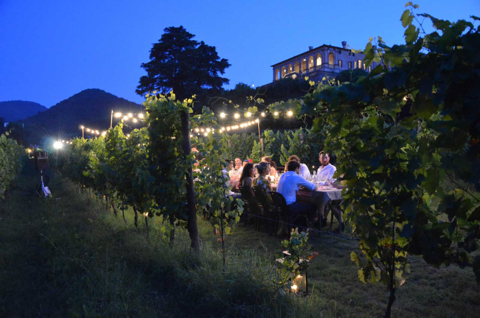 cena-villa-vescovi